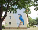 Fassadenmalerei-Braunschweig-Weststadt-Am-Queckenberg-Eisvogel-Wandbild-003