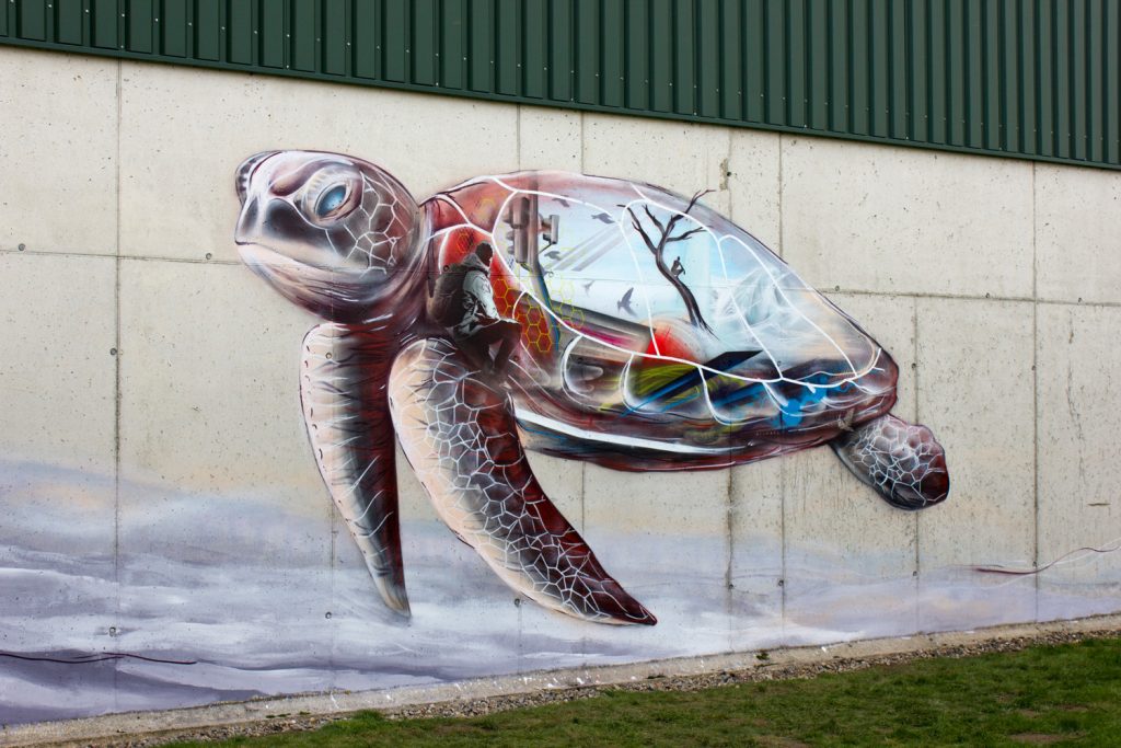 Mural (Wandgemälde) von Nasim Naji, Streetart in Braunschweig (Deutschland); Schildkröte; Sprühdose auf Wand; 2019